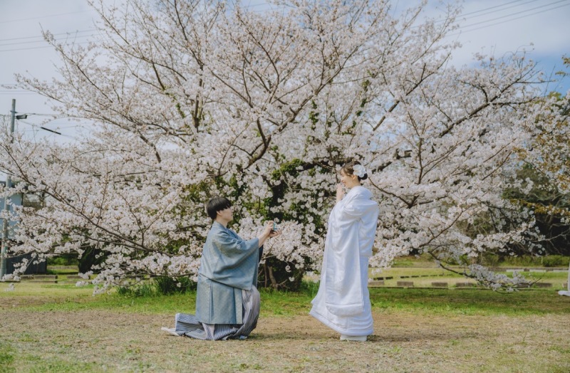桜並木で誓うプロポーズショット