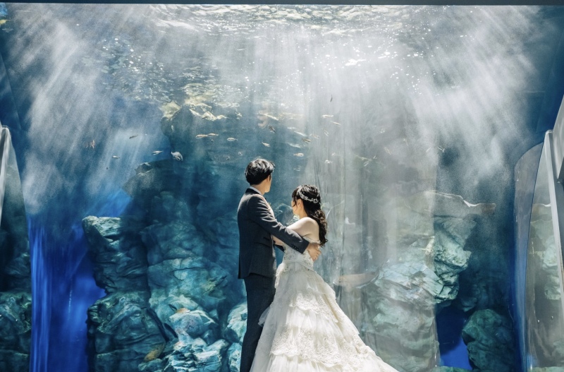 マリンワールド