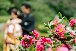 大濠日本庭園～鳥飼八幡宮