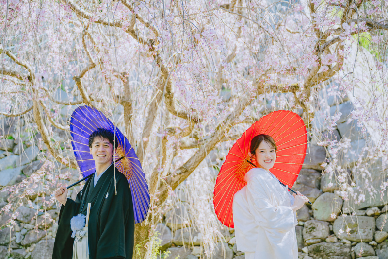 桜並木で叶える和の情緒