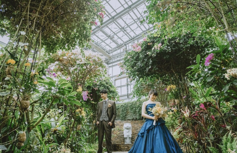 鮮やかな緑に包まれて。幻想的な温室ロケフォト