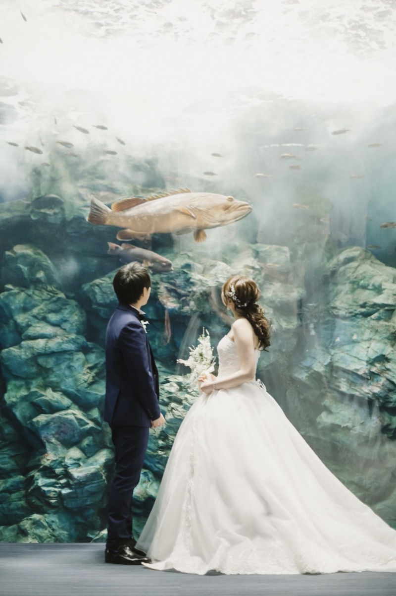 マリンワールド