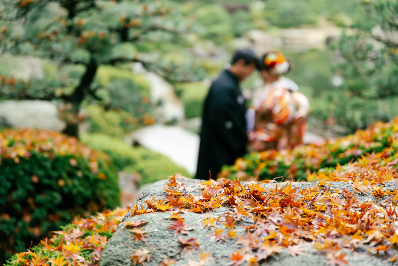 落ち葉で彩られ