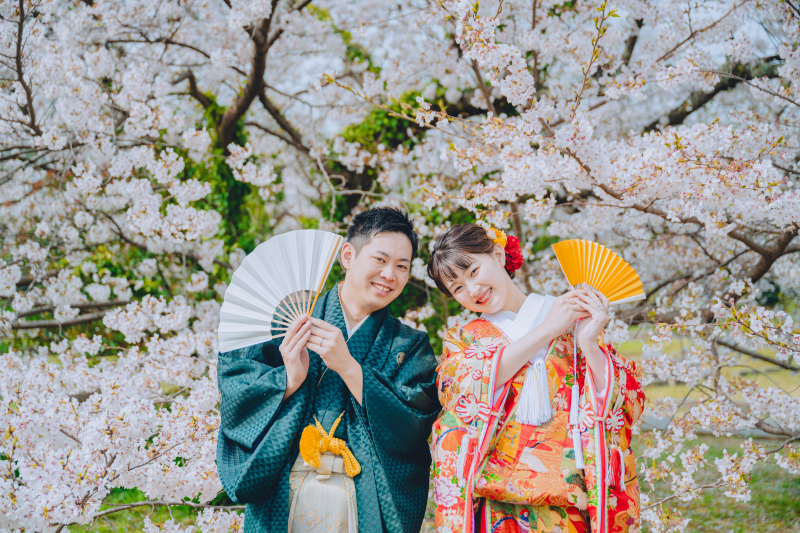 満開の桜に囲まれて。扇子を使った華やかショット