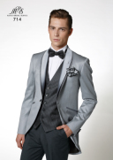 ヴィジョナリーグレー