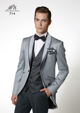 ヴィジョナリーグレー