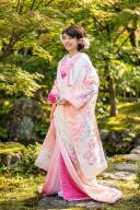 ピンク地　紗綾虹彩花車文様