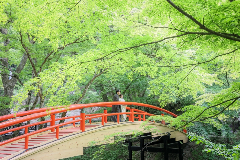 季節を感じる橋の上で