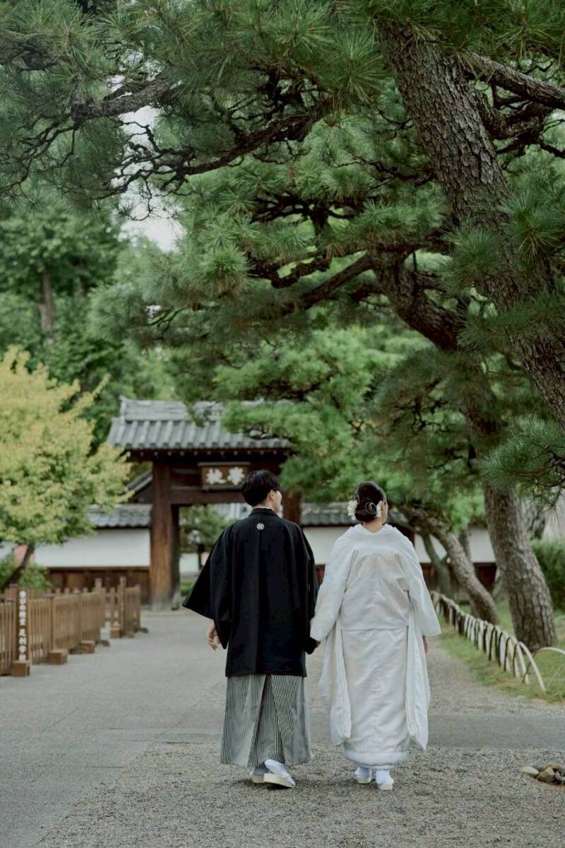 足利学校の歴史を歩む。松の緑に包まれながら