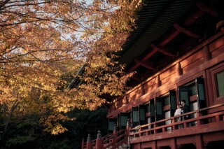 【和装ロケーション撮影】秋の大光院・・・