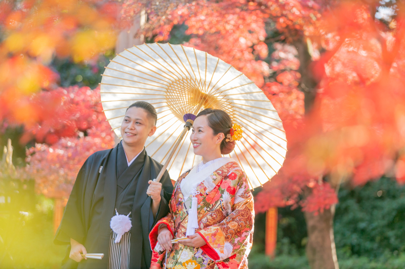 紅葉×番傘
