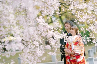【和装ロケーション＆スタジオ撮影】満開の桜と共に・・・