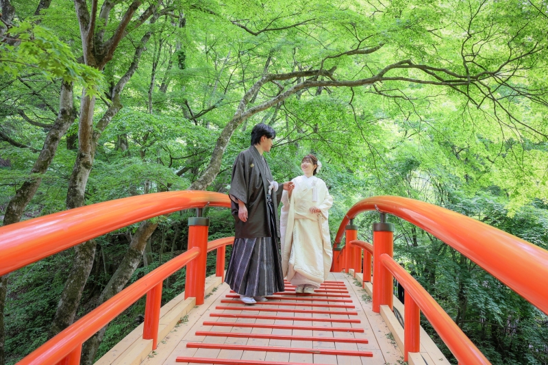 新緑に包まれた河鹿橋で