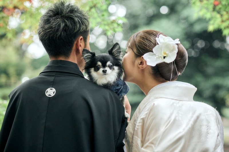 My Little Studio by BRIDES_ペットと一緒に撮影できる