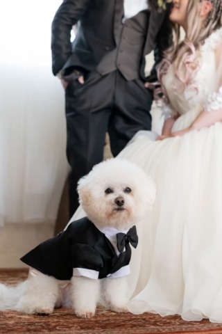 My Little Studio by BRIDES