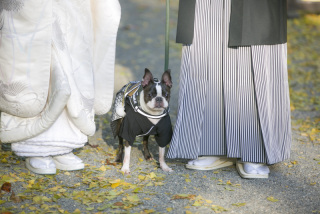 My Little Studio by BRIDES