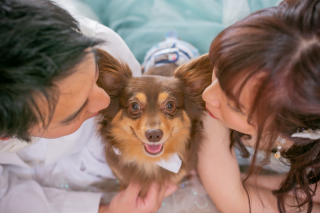 ペットとの撮影