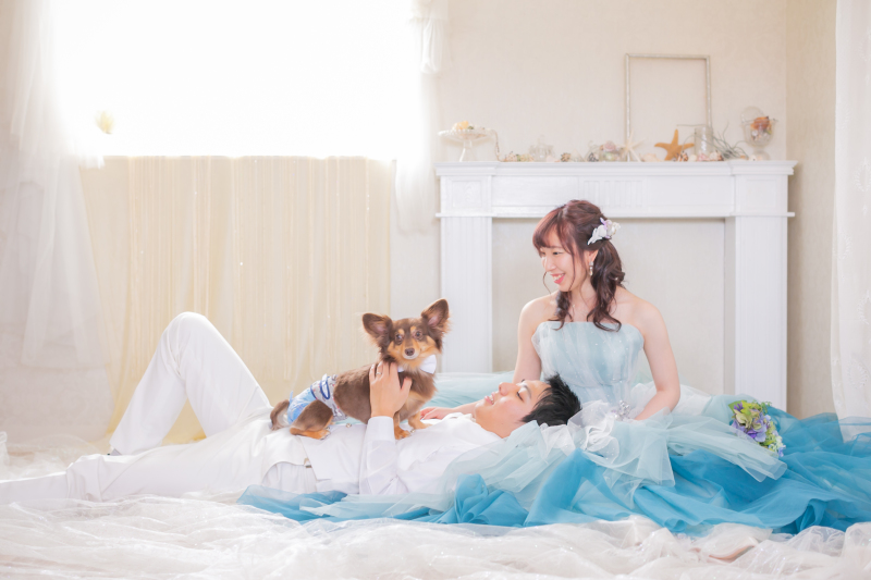 My Little Studio by BRIDES_ペットと一緒に撮影できる