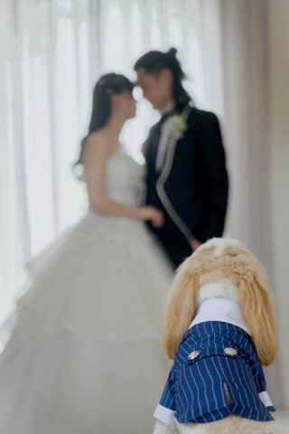 My Little Studio by BRIDES_ペットと撮影