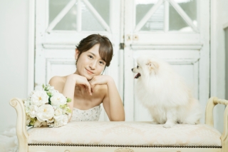 My Little Studio by BRIDES_ペットと撮影