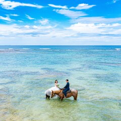 乗馬でドローン撮影