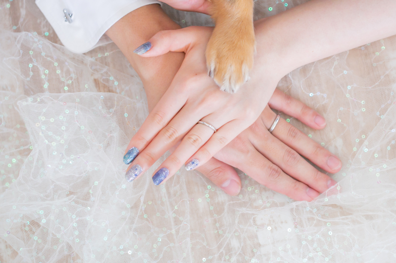 【ペットフォト♡】家族の一員ペットも一緒に! 洋装スタジオ撮影スタンダードプラン(ドレス1点・お肌レタッチ付データ100カット)