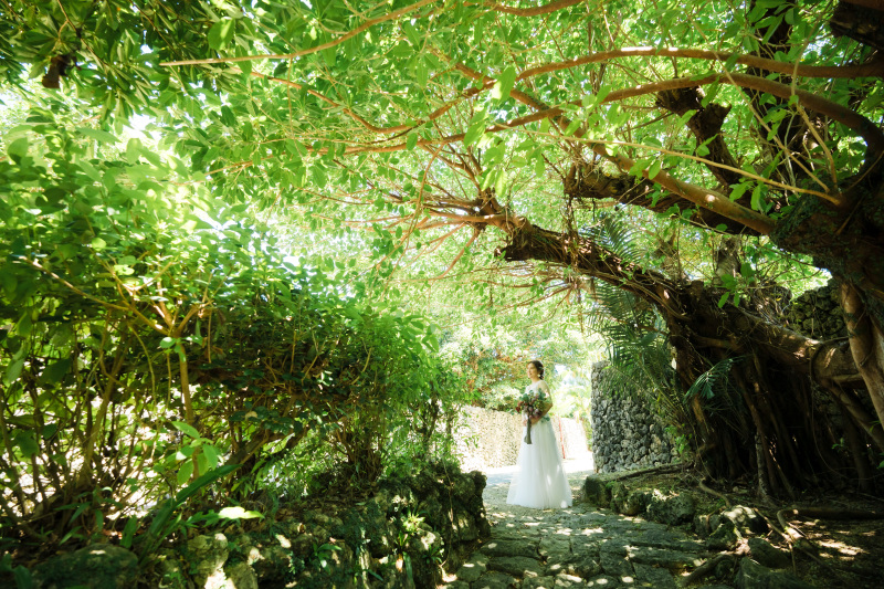 緑が広がるむら咲むら内にて