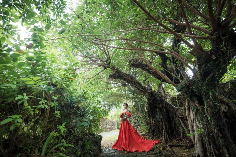 立派なガジュマルとのソロショット＊