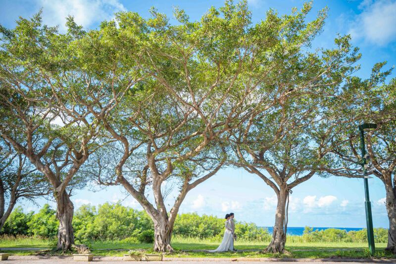 青空のビーチ＆グリーンフォト