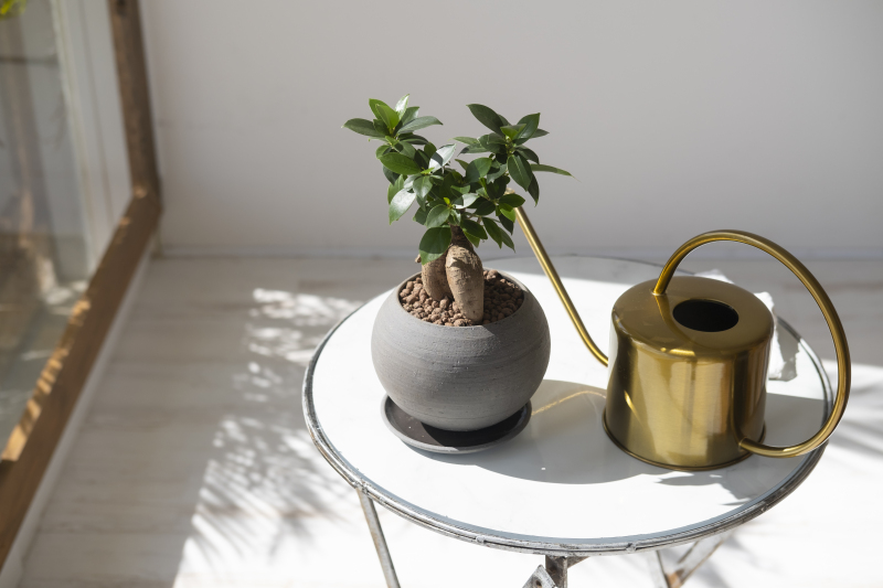 沖縄での結婚式