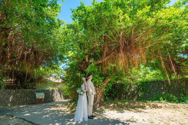 スタジオの前はグリーンがいっぱい