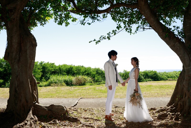 ガジュマルの木の下で