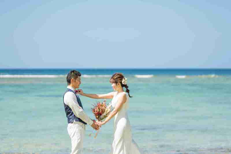 エメラルドグリーンをバック