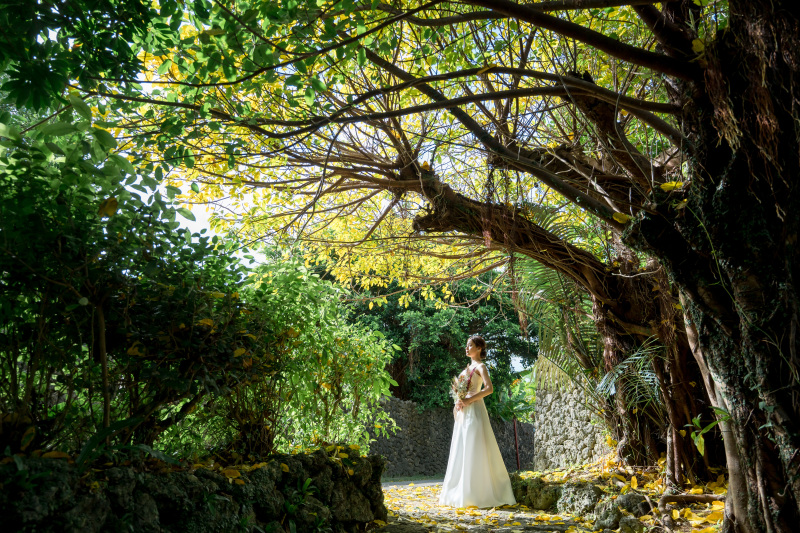 生い茂るグリーンの中で