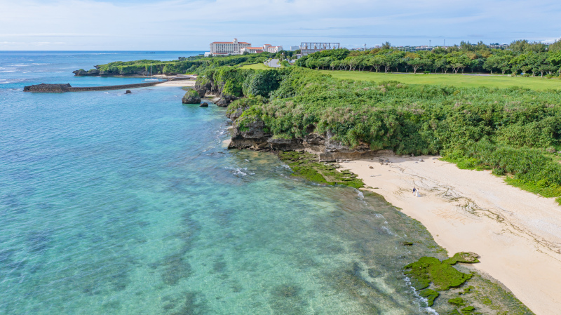 これが沖縄の海の力！