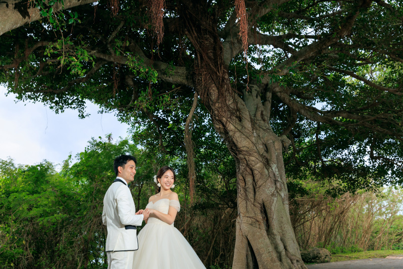 ガジュマル並木の下で♪