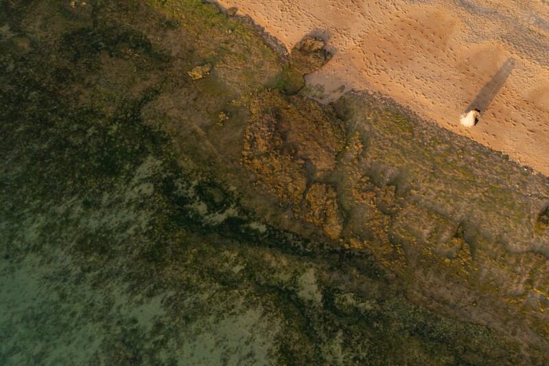 ドローンでダイナミックに