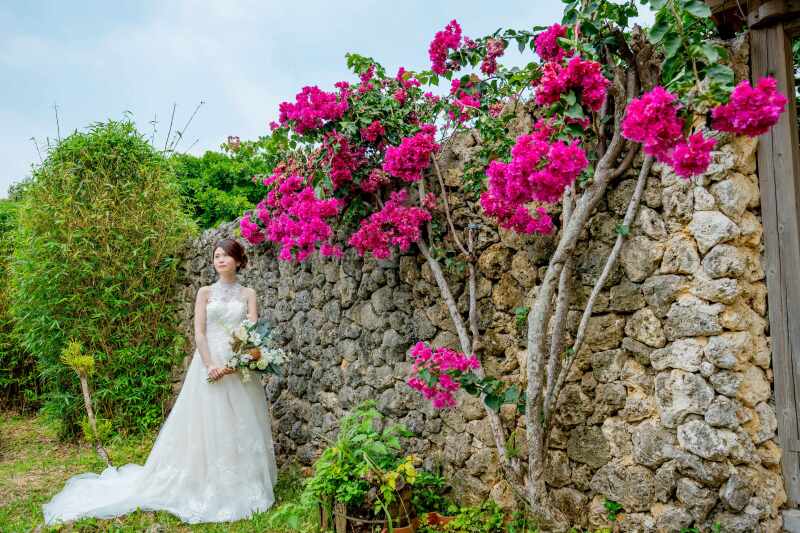 ブーゲンビリアとともに