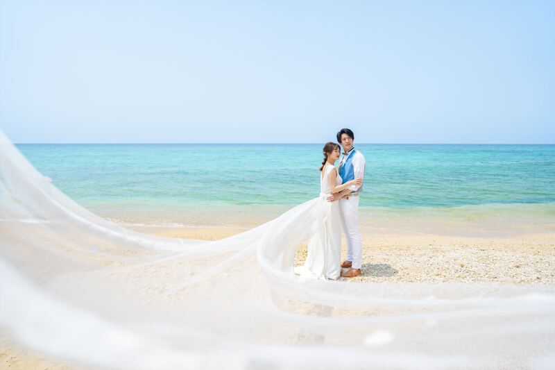 ロングベールショット