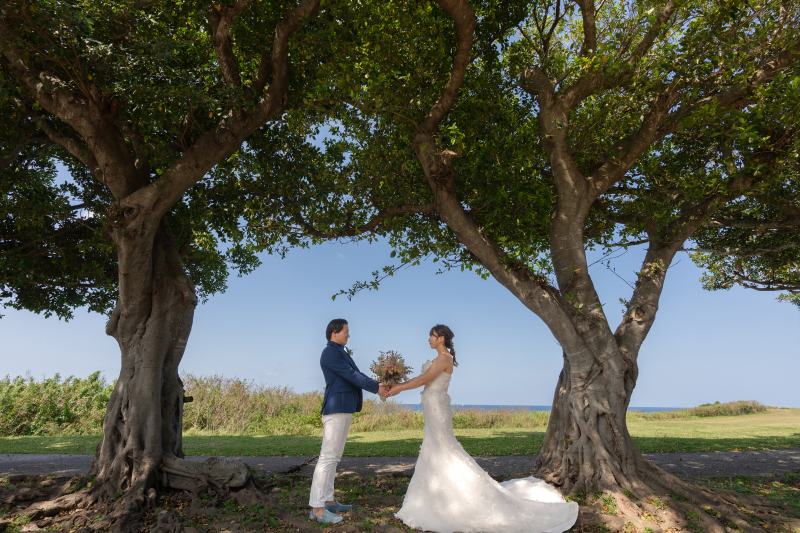 ガジュマル並木の下で