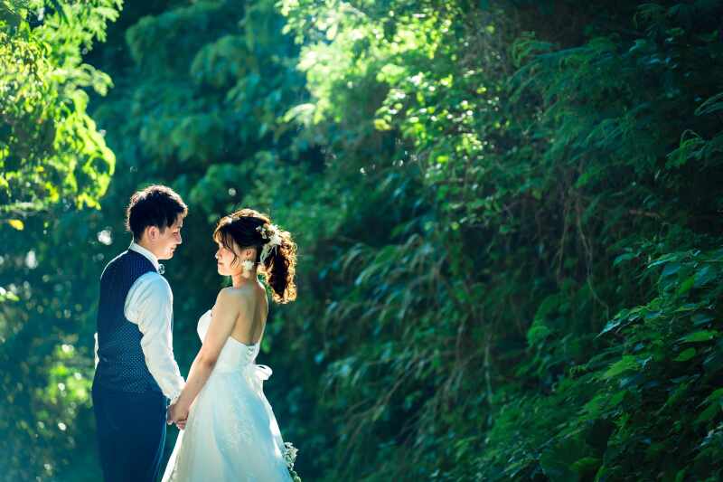 南国グリーンの中で