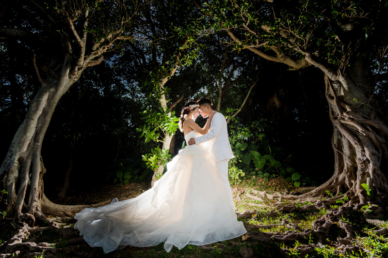 ガジュマル並木様の下で