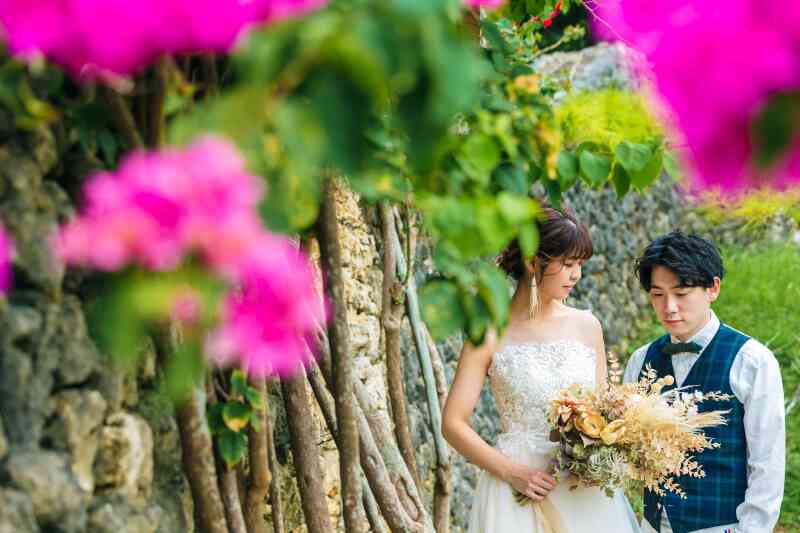 ブーゲンビリア