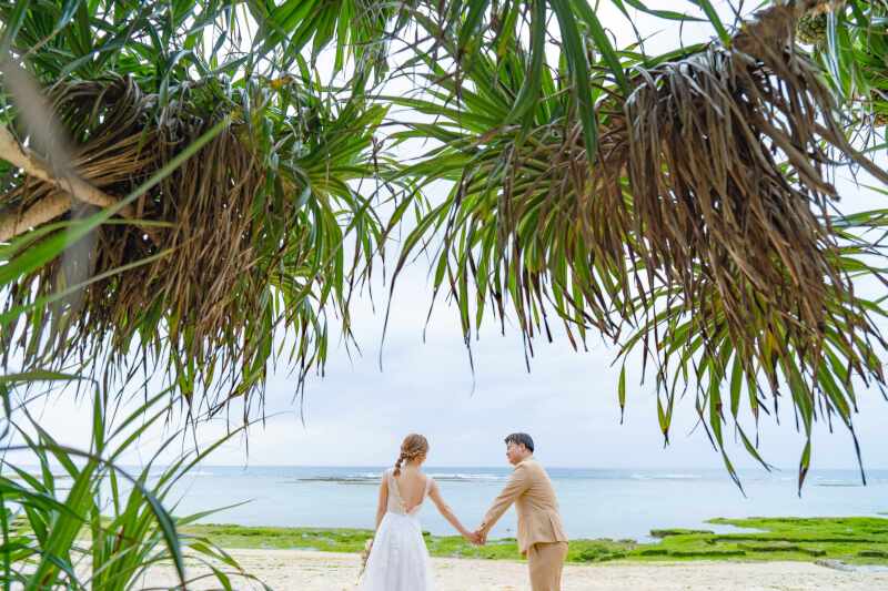 南国グリーンの中のふたり