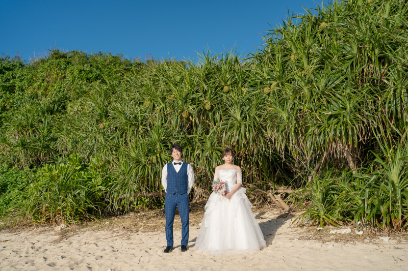 ビーチにもグリーンスポットが！
