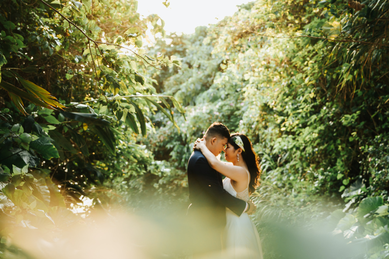 沖縄ならではのお写真