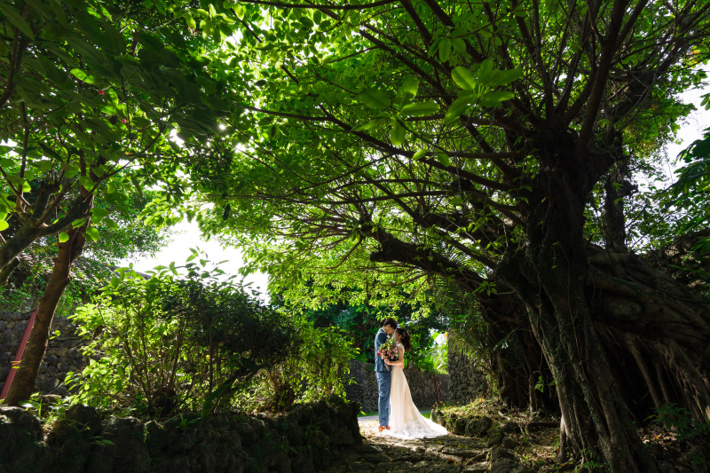 幻想的な緑の中で