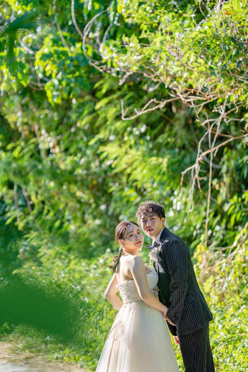 グリーンバックに！