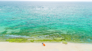 Ｗ-Dressプラン♪