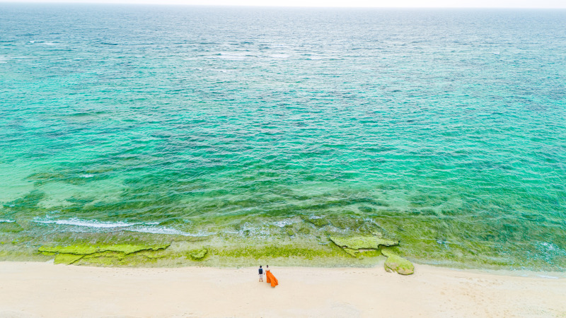 Ｗ-Dressプラン♪